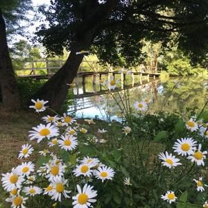 Meet your Posher, Virginia karuna